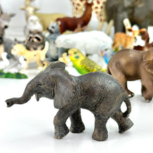 Load image into Gallery viewer, Toy Animals by Schleich / Papo